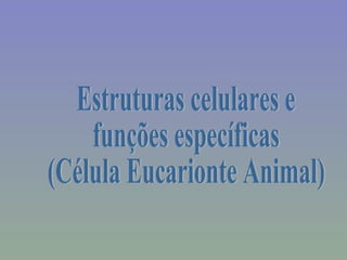 Estruturas celulares e funções específicas (Célula Eucarionte Animal) 
