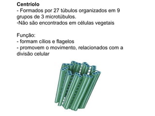 Centríolo
- Formados por 27 túbulos organizados em 9
grupos de 3 microtúbulos.
-Não são encontrados em células vegetais

Função:
- formam cílios e flagelos
- promovem o movimento, relacionados com a
divisão celular
 