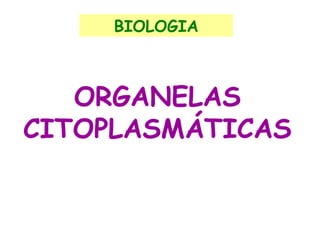 BIOLOGIA

ORGANELAS
CITOPLASMÁTICAS

 