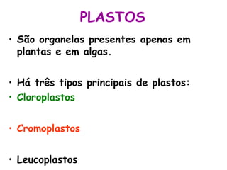 PLASTOS
• São organelas presentes apenas em
plantas e em algas.
• Há três tipos principais de plastos:
• Cloroplastos
• Cromoplastos
• Leucoplastos

 
