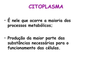CITOPLASMA
• É nele que ocorre a maioria dos
processos metabólicos;
• Produção da maior parte das
substâncias necessárias para o
funcionamento das células.

 