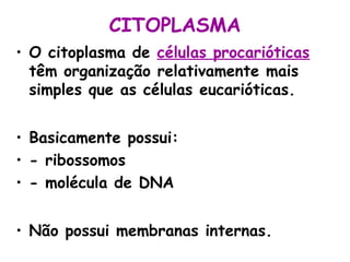 CITOPLASMA
• O citoplasma de células procarióticas
têm organização relativamente mais
simples que as células eucarióticas.
• Basicamente possui:
• - ribossomos
• - molécula de DNA
• Não possui membranas internas.

 
