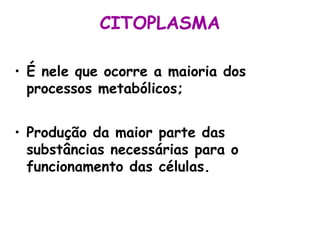 CITOPLASMA
• O citoplasma de células procarióticas
têm organização relativamente mais
simples que as células eucarióticas....