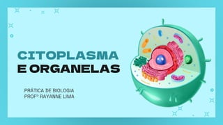 CITOPLASMA
E ORGANELAS
PRÁTICA DE BIOLOGIA
PROFº RAYANNE LIMA
 