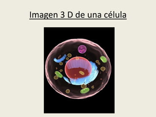 Imagen 3 D de una célula
 
