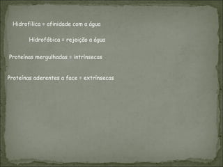 Hidrofílica = afinidade com a água Proteínas aderentes a face = extrínsecas   Proteínas mergulhadas =  intrínsecas Hidrofóbica = rejeição a água 
