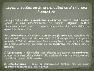 Especializações ou diferenciações da Membrana Plasmática Em algumas células, a  membrana plasmática  mostra modificações ligadas a uma especialização de função. Algumas dessas diferenciações são particularmente bem conhecidas nas células da superfície do intestino. Microvilosidades -  São dobras da  membrana plasmática , na superfície da célula voltada para a cavidade do intestino. Calcula-se que cada célula possui em média 2.500 microvilosidades. Como conseqüência de sua existência, há um aumento apreciável da superfície da  membrana  em contato com o alimento.  b) Desmossomos -  São regiões especializadas que ocorrem nas  membranas  adjacentes de duas células vizinhas. São espécies de presilhas que aumentam a adesão entre uma célula e a outra.   c) Interdigitações -  Como os desmossomos também têm um papel importante na coesão de células vizinhas.   