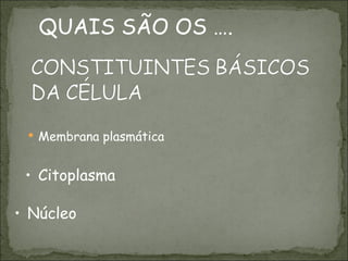 Membrana plasmática  Citoplasma Núcleo QUAIS SÃO OS ….  