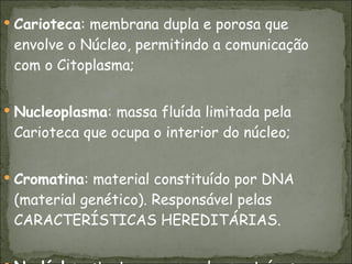 Carioteca : membrana dupla e porosa que envolve o Núcleo, permitindo a comunicação com o Citoplasma; Nucleoplasma : massa fluída limitada pela Carioteca que ocupa o interior do núcleo; Cromatina : material constituído por DNA (material genético). Responsável pelas CARACTERÍSTICAS HEREDITÁRIAS. Nucléolo : estrutura que produz proteínas. 