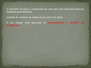 O Aparelho de Golgi é constituído por uma série de cisternas (reserva) dispostas paralelamente. Localiza-se  próximo do núcleo ou do centro da célula. A sua função está associada ao  armazenamento e descarte de substâncias. 