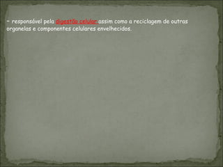 -  responsável pela  digestão celular  assim como a reciclagem de outras organelas e componentes celulares envelhecidos.  