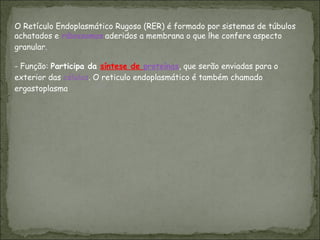 O Retículo Endoplasmático Rugoso (RER) é formado por sistemas de túbulos achatados e  ribossomos  aderidos a membrana o que lhe confere aspecto granular.  - Função:  Participa da  síntese de  proteínas , que serão enviadas para o exterior das  células . O reticulo endoplasmático é também chamado ergastoplasma  