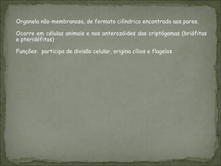 Organela não-membranosa, de formato cilíndrico encontrado aos pares. Ocorre em células animais e nos anterozóides das criptógamas (briófitas e pteridófitas)  Funções:  participa de divisão celular, origina cílios e flagelos  