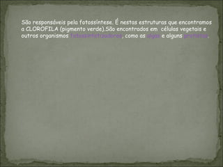 São responsáveis pela fotossíntese. É nestas estruturas que encontramos a CLOROFILA (pigmento verde).São encontrados em  células vegetais e outros organismos  fotossintetizadores , como as  algas  e alguns  protistas .  