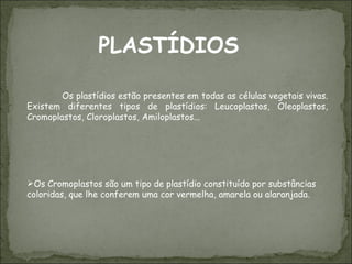 PLASTÍDIOS  Os plastídios estão presentes em todas as células vegetais vivas. Existem diferentes tipos de plastídios: Leucoplastos, Oleoplastos, Cromoplastos, Cloroplastos, Amiloplastos... Os Cromoplastos são um tipo de plastídio constituído por substâncias coloridas, que lhe conferem uma cor vermelha, amarela ou alaranjada. 