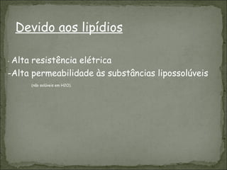 -  Alta resistência elétrica -Alta permeabilidade às substâncias lipossolúveis  (não solúveis em H2O). Devido aos lipídios 