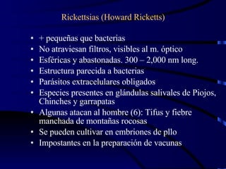 + pequeñas que bacterias No atraviesan filtros, visibles al m. óptico Esféricas y abastonadas. 300 – 2,000 nm long. Estructura parecida a bacterias Parásitos extracelulares obligados Especies presentes en glándulas salivales de Piojos, Chinches y garrapatas Algunas atacan al hombre (6): Tifus y fiebre manchada de montañas rocosas Se pueden cultivar en embriones de pllo Impostantes en la preparación de vacunas Rickettsias (Howard Ricketts) 