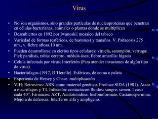No son organismos, sino grandes partículas de nucleoproteínas que penetran en células bacterianas, animales o plantas donde se multiplican Descubiertos en 1892 por Iwanoski: mosaico del tabaco Variedad de formas (esféricos, de bastones) y tamaños. V. Psitacosis 275 nm., v. fiebre aftosa 10 nm. Pueden desarrollarse en ciertos tipos celulares: viruela, sarampión, verruga: Piel; parálisis, rabia: cerebro, médula ósea; fiebre amarilla: hígado Célula infectada por virus: Interferón (Para atender invasiones de algún tipo de virus)  Bacteriófagos (1917, D’Herelle). Esféricos, de coma o paleta Experienia de Hersey y Chase: multiplicación VIH: Retrovirus: ARN como material genético. Produce SIDA (1981). Ataca a macrófagos y T4. Infección: contactocon fluidos: sangre, semen. I caso cada 40”. Fármacos: AZT, Acidotimidina, fosfonoformato, Castanospermina. Mejora de defensas: Interferon alfa y amplígeno.  Virus 