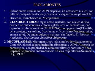 PROCARIONTES  Procariontes: Células con ADN disperso, sin verdadero núcleo, con falta de compartimentación y carencia de organización pluricelular Bacterias, Cianobacterias, Micoplasmas CIANOBACTERIAS : algas verde azuladas, con núcleo difuso, carecen de mitocondrias, colonias globulares o filamentosas, con capsulas de glucoproteínas (MUREINA), con pigmentos(Clorofila, beta caroteno, xantofilas, ficocianina y ficoeritrina- Trichodesmina , en mar rojo). De aguas dulces y marinas, sin flagelo. Ej.  Nostoc, Anabaena, Oscillatoria, Spirulina, Stigonema 2.  MICOPLASMAS : Microrganismos más simples de vida autónoma. Com MP, citosol, alguna inclusión, ribosomas y ADN. Ausencia de pared rígida, con propiedad de atravesar filtros y poros muy finos. Capaces de producir enfermedades: En vías respiratorias-Neumonía . Ej, PPLO 