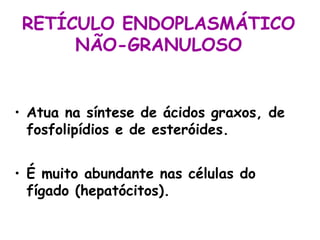 RETÍCULO ENDOPLASMÁTICO
NÃO-GRANULOSO
• Atua na síntese de ácidos graxos, de
fosfolipídios e de esteróides.
• É muito abundante nas células do
fígado (hepatócitos).
 