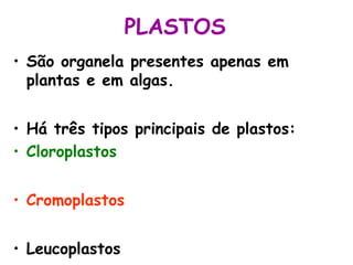 PLASTOS
• São organela presentes apenas em
plantas e em algas.
• Há três tipos principais de plastos:
• Cloroplastos
• Cromoplastos
• Leucoplastos
 