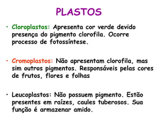 PLASTOS
• Cloroplastos: Apresenta cor verde devido
presença do pigmento clorofila. Ocorre
processo de fotossíntese.
• Cromoplastos: Não apresentam clorofila, mas
sim outros pigmentos. Responsáveis pelas cores
de frutos, flores e folhas
• Leucoplastos: Não possuem pigmento. Estão
presentes em raízes, caules tuberosos. Sua
função é armazenar amido.
 