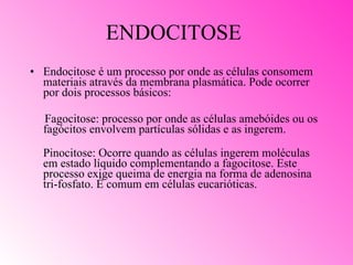 ENDOCITOSE Endocitose é um processo por onde as células consomem materiais através da membrana plasmática. Pode ocorrer por dois processos básicos:  Fagocitose: processo por onde as células amebóides ou os fagócitos envolvem partículas sólidas e as ingerem. Pinocitose: Ocorre quando as células ingerem moléculas em estado líquido complementando a fagocitose. Este processo exige queima de energia na forma de adenosina tri-fosfato. É comum em células eucarióticas.  