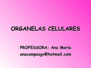 ORGANELAS CELULARES PROFESSORA: Ana Maria [email_address] 