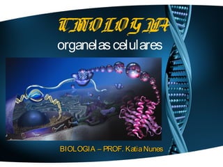 CI LO GI
  TO    A
organelas celulares




BIOLOGIA – PROF. Katia Nunes
 