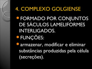 44.. CCOOMMPPLLEEXXOO GGOOLLGGIIEENNSSEE 
FORMADO POR CONJUNTOS 
DE SÁCULOS LAMELIFORMES 
INTERLIGADOS. 
FUNÇÕES: 
armazenar, modificar e eliminar 
substâncias produzidas pela célula 
(secreções). 
 
