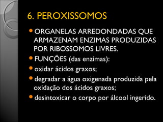 66.. PPEERROOXXIISSSSOOMMOOSS 
ORGANELAS ARREDONDADAS QUE 
ARMAZENAM ENZIMAS PRODUZIDAS 
POR RIBOSSOMOS LIVRES. 
FUNÇÕES (das enzimas): 
oxidar ácidos graxos; 
degradar a água oxigenada produzida pela 
oxidação dos ácidos graxos; 
desintoxicar o corpo por álcool ingerido. 
 