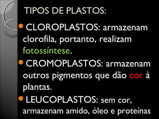 TTIIPPOOSS DDEE PPLLAASSTTOOSS:: 
CLOROPLASTOS: armazenam 
clorofila, portanto, realizam 
fotossíntese. 
CROMOPLASTOS: armazenam 
outros pigmentos que dão cor à 
plantas. 
LEUCOPLASTOS: sem cor, 
armazenam amido, óleo e proteínas 
 