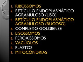 1. RIBOSSOMOS 
2. RETÍCULO ENDOPLASMÁTICO 
AGRANULOSO (LISO) 
3. RETÍCULO ENDOPLASMÁTICO 
AGRANULOSO (RUGOSO) 
4. COMPLEXO GOLGIENSE 
5. LISOSSOMOS 
6. PEROXISSOMOS 
7. VACÚOLOS 
8. PLASTOS 
9. MITOCÔNDRIAS 
 