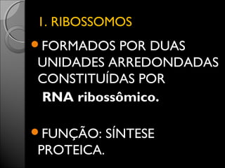 11.. RRIIBBOOSSSSOOMMOOSS 
FORMADOS POR DUAS 
UNIDADES ARREDONDADAS 
CONSTITUÍDAS POR 
RNA ribossômico. 
FUNÇÃO: SÍNTESE 
PROTEICA. 
 