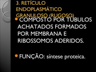 33.. RREETTÍÍCCUULLOO 
EENNDDOOPPLLAASSMMÁÁTTIICCOO 
GGRRAANNUULLOOSSOO ((RRUUGGOOSSOO)) 
COMPOSTO POR TÚBULOS 
ACHATADOS FORMADOS 
POR MEMBRANA E 
RIBOSSOMOS ADERIDOS. 
FUNÇÃO: síntese proteica. 
 