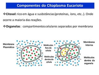 Citosol:rico em água e susbstâncias(proteínas, íons, etc..). Onde
ocorre a maioria das reações.
Organelas: compartimentoscelulares separados por membrana
Moléculas
dentroda
célula
Moléculas
fora da
célula
Membrana
Plasmática
Membrana
Interna
Moléculas
dentro da
organela
Componentes do Citoplasma Eucarioto
 