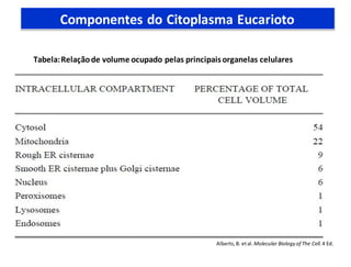Tabela:Relaçãode volume ocupado pelas principaisorganelas celulares
Componentes do Citoplasma Eucarioto
Alberts, B. etal.M...