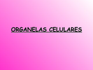 ORGANELAS CELULARES
 