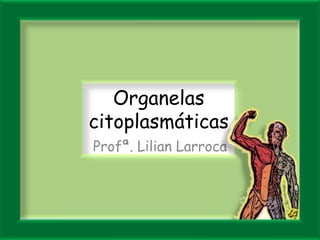 Organelas
citoplasmáticas
Profª. Lilian Larroca
 