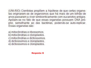 Resposta: B
 