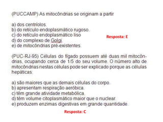 Resposta: E
Resposta: C
 