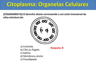 Citoplasma: Organelas Celulares
(CESGRANRIO-RJ) O desenho abaixo corresponde a um corte transversal da
ultra-estrutura de:
a) Centríolo
b) Cílio ou flagelo.
c) Axônio.
d) Membrana celular
e) Pseudópodo
Resposta: B
 