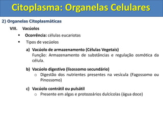 Citoplasma: Organelas Celulares
2) Organelas Citoplasmáticas
VIII. Vacúolos
 Ocorrência: células eucariotas
 Tipos de vacúolos
a) Vacúolo de armazenamento (Células Vegetais)
Função: Armazenamento de substâncias e regulação osmótica da
célula.
b) Vacúolo digestivo (lisossomo secundário)
o Digestão dos nutrientes presentes na vesícula (Fagossomo ou
Pinossomo)
c) Vacúolo contrátil ou pulsátil
o Presente em algas e protozoários dulcícolas (água doce)
 