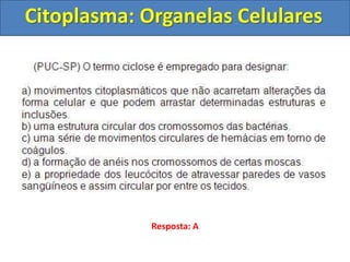 Citoplasma: Organelas Celulares
Resposta: A
 