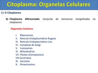 Citoplasma: Organelas Celulares
1) O Citoplasma
b) Citoplasma diferenciado: Conjunto de estruturas mergulhadas no
citoplasma.
Organelas Celulares
I. Ribossomos
II. Retículo Endoplasmático Rugoso
III. Retículo Endoplasmático Liso
IV. Complexo de Golgi
V. Lisossomos
VI. Mitocôndrias
VII. Plastos (Cloroplastos)
VIII.Centríolos
IX. Vacúolos
X. Peroxissomos
 