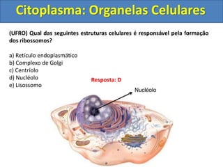 Citoplasma: Organelas Celulares
(UFRO) Qual das seguintes estruturas celulares é responsável pela formação
dos ribossomos?
a) Retículo endoplasmático
b) Complexo de Golgi
c) Centríolo
d) Nucléolo
e) Lisossomo
Resposta: D
Nucléolo
 