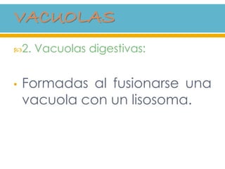 2. Vacuolas digestivas:
• Formadas al fusionarse una
vacuola con un lisosoma.
 