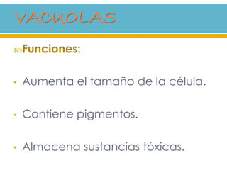 Funciones:
• Aumenta el tamaño de la célula.
• Contiene pigmentos.
• Almacena sustancias tóxicas.
 