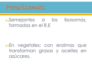 Semejantes a los lisosomas,
formadas en el R.E
En vegetales: con enzimas que
transforman grasas y aceites en
azúcares.
 