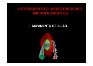 CITOESQUELETO: MICROTUBULOS E
       MICROFILAMENTOS


    • MOVIMENTO CELULAR.
 